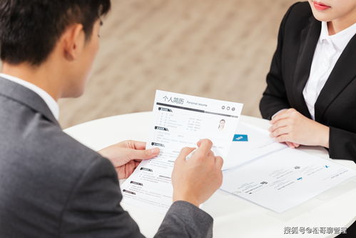 874万应届生求职季 若忽视这关键两点，或面临“毕业即失业”困境——来自企业管理咨询的忠告